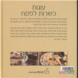 Cakes for Passover / Danit Salomon