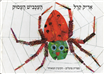 The Very Busy Spider - Board Book