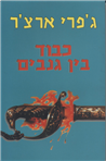 Kavod Bein Ganavim