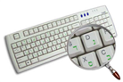 Hebrew Keyboard Stickers - Green Transparent